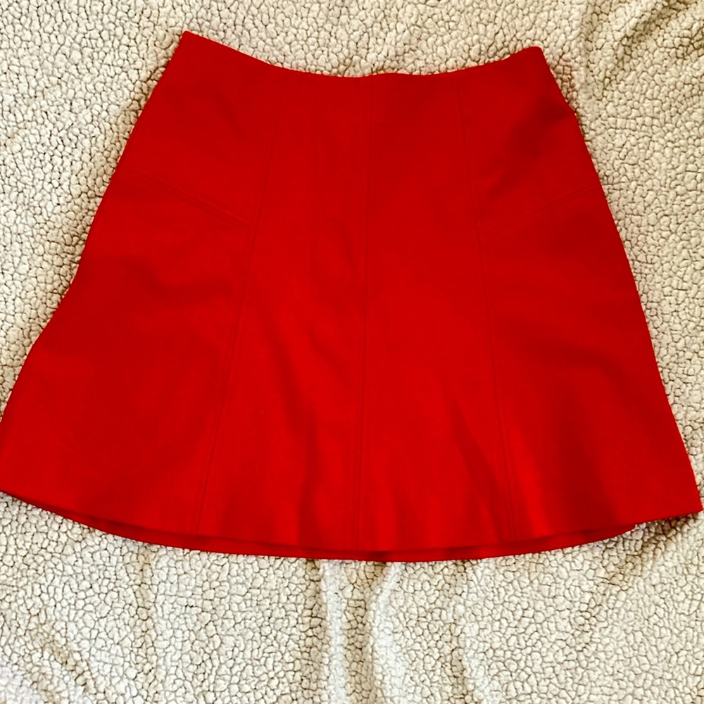 Skirt - great for holidays and Christmas!